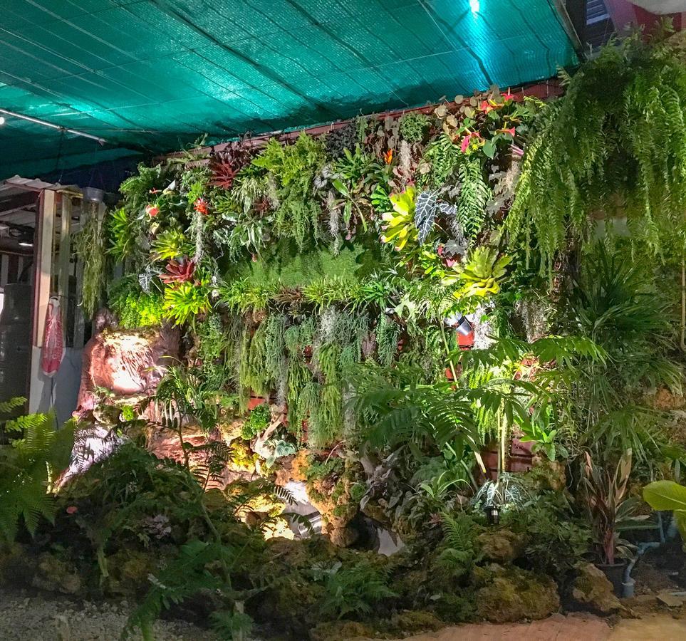 Bann Ton Kho Hotel Khaukho Kültér fotó